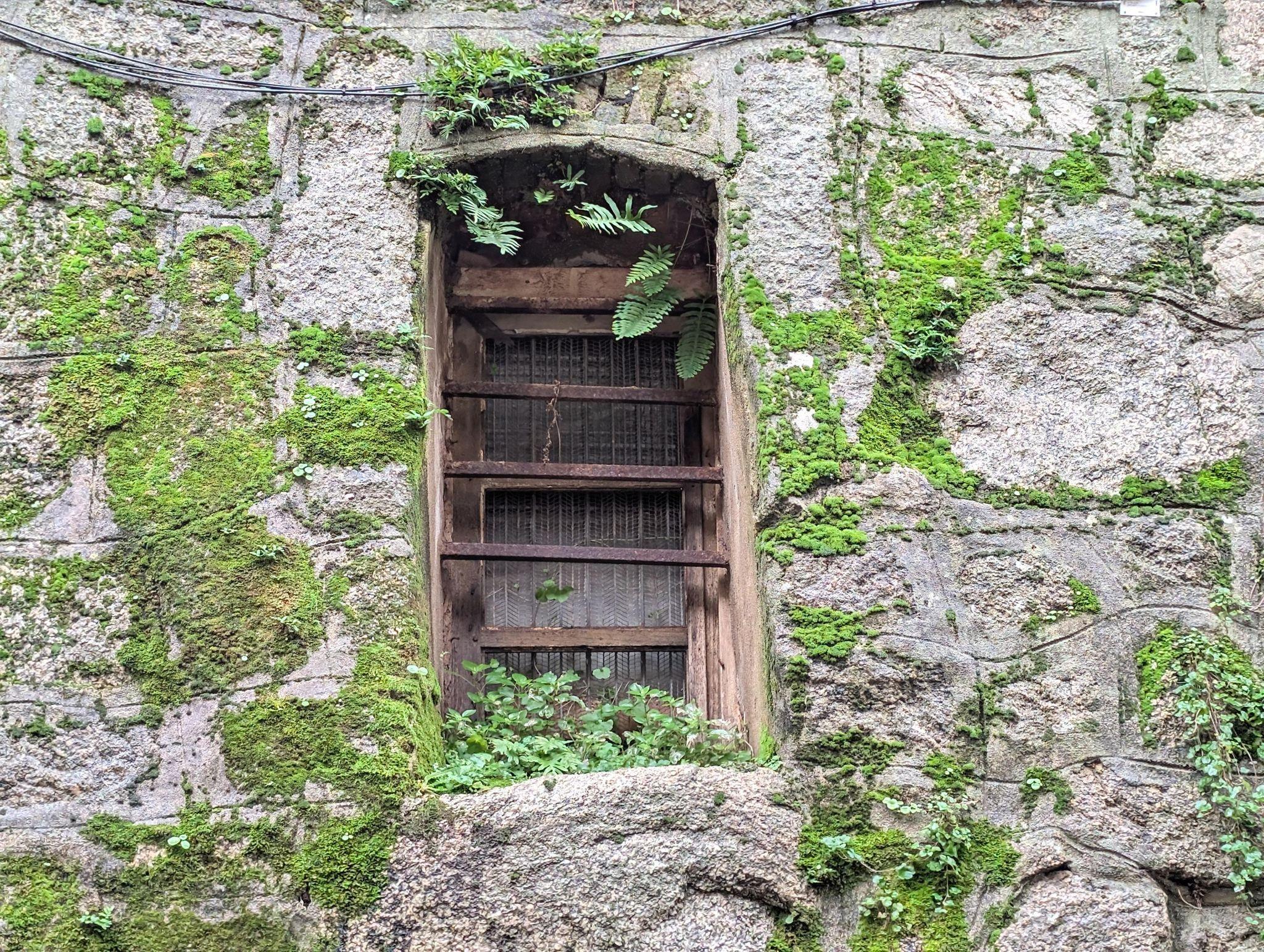 FensterFreitag_2026-01-30