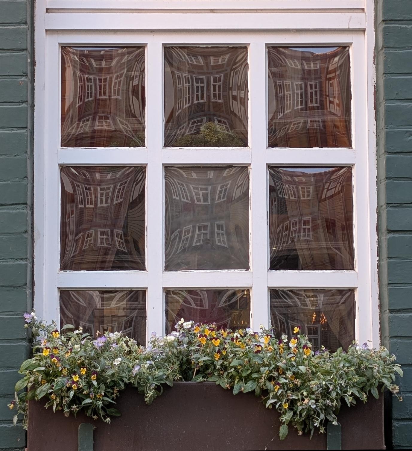FensterFreitag_2026-06-26