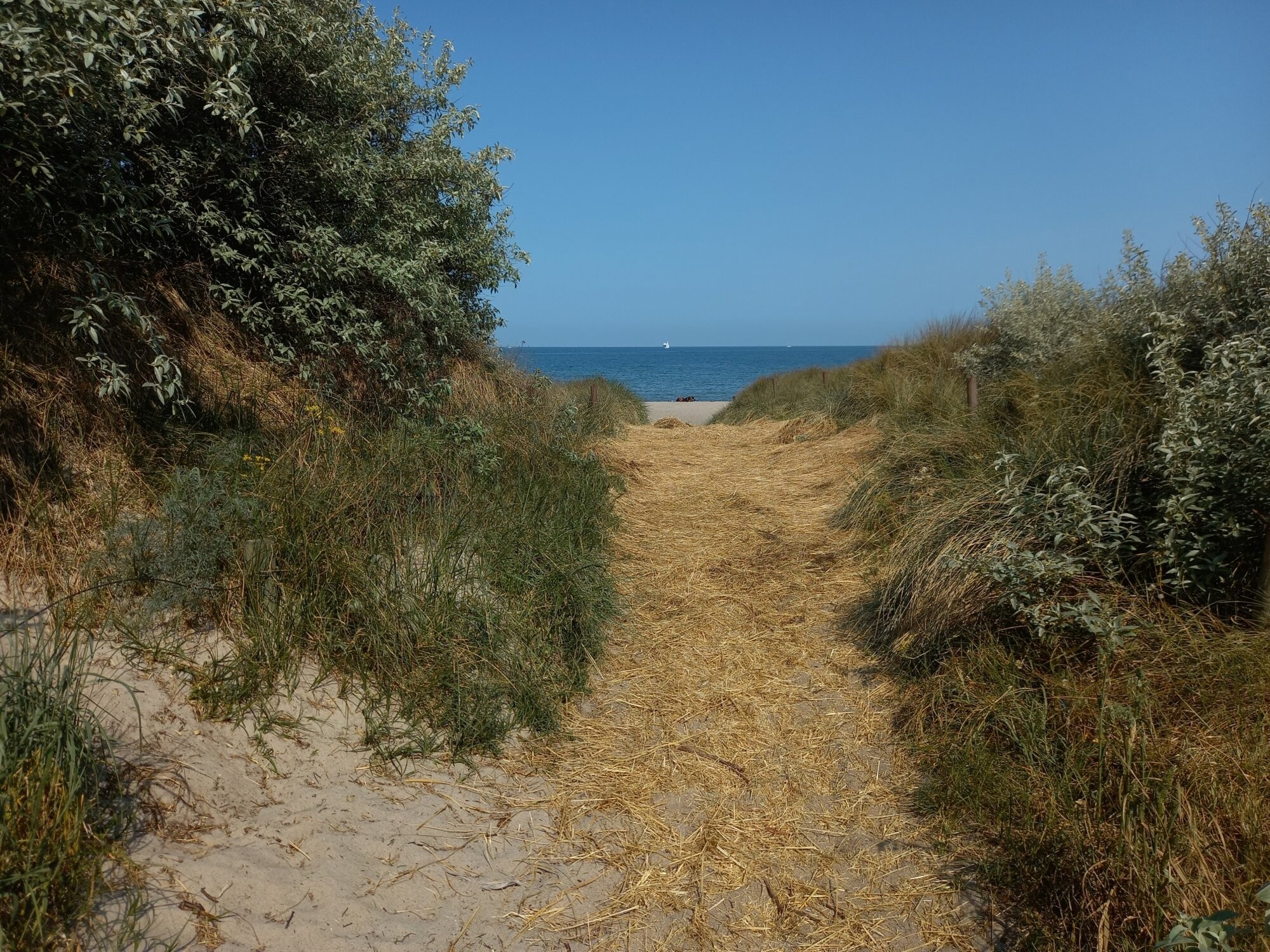 MeerMittwoch_2023-05-31