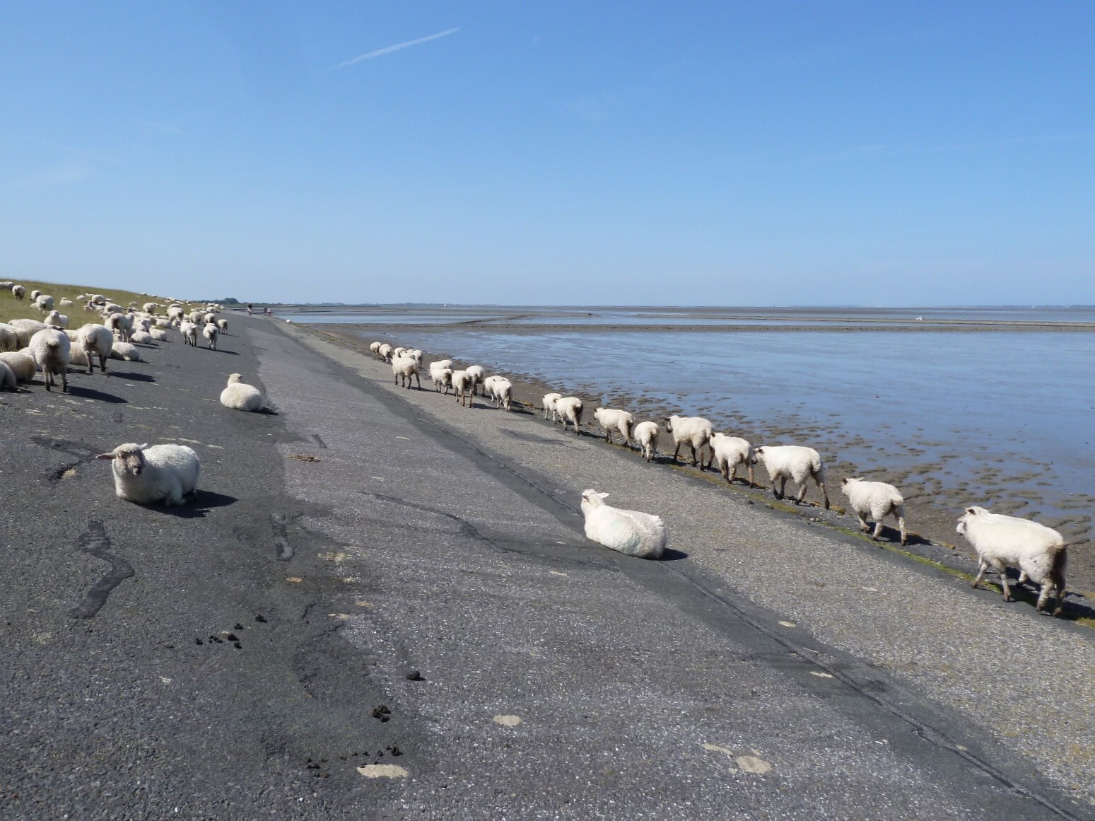 MeerMittwoch_2023-07-12