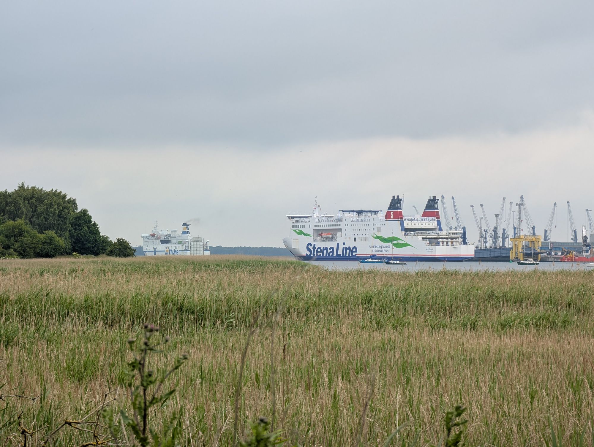 MeerMittwoch_2025-06-18