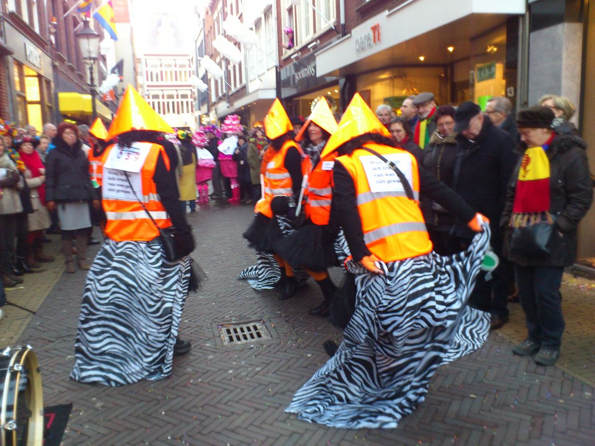 Zebra in Venlo