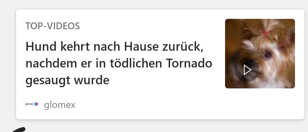 Hund kehrt zurück, nachdem er von tödlichem Tornado angesaugt wurde.
