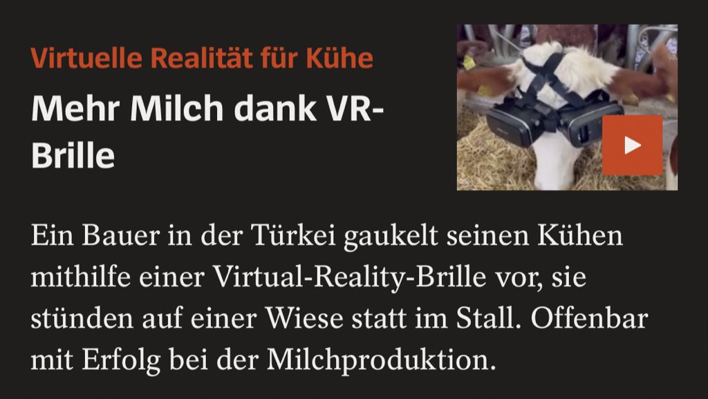 VR-Brille für Kühe für mehr Milch