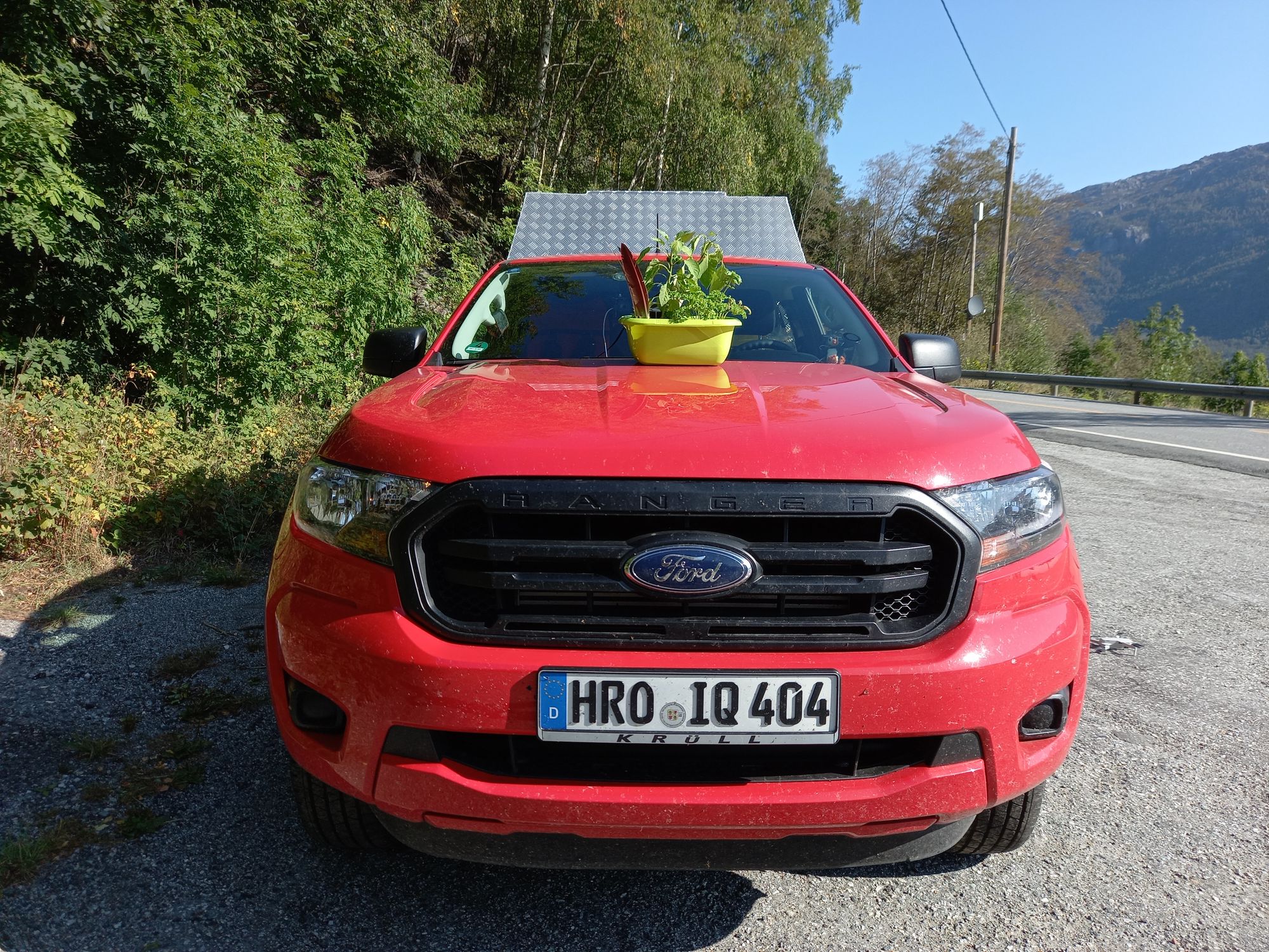 Auf der Motorhaube