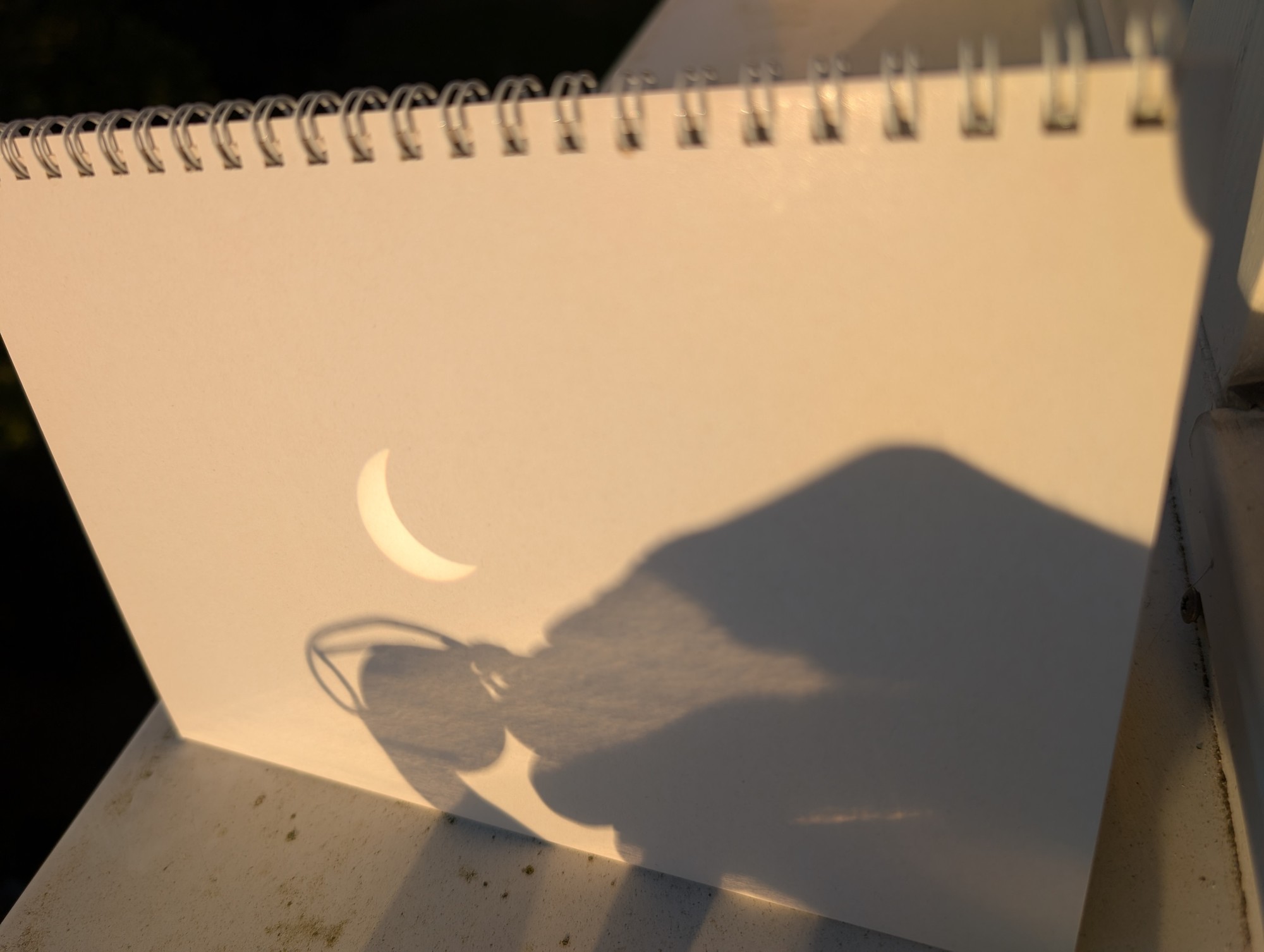 1. Test handheld