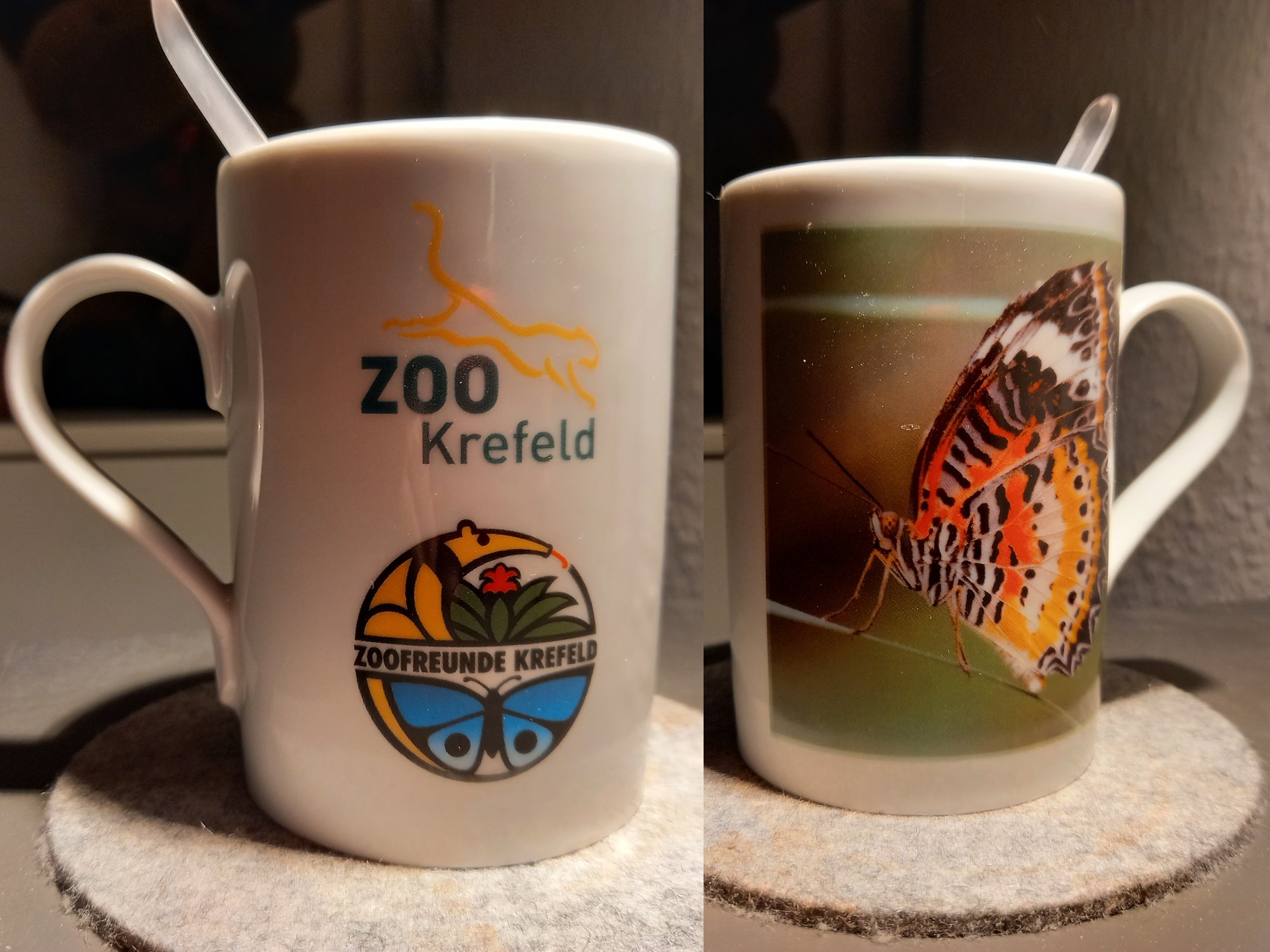 Die Tasse habe ich im Zoo Krefeld erstanden, der Erlös diente dem Neubau des Schmetterlingshauses.